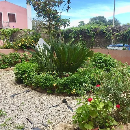 Cycas Lägenhet