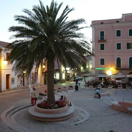 Cycas Apartment *