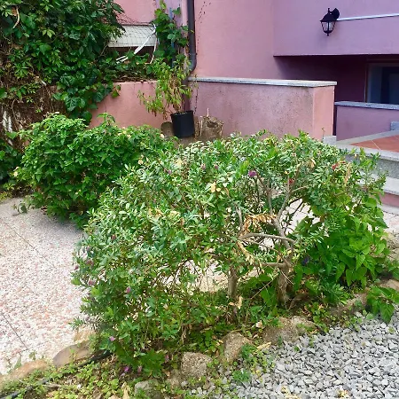 Apartment Cycas Santa Teresa Gallura