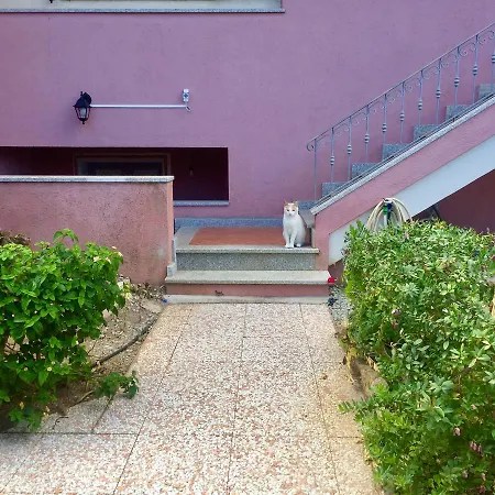 Cycas Apartment